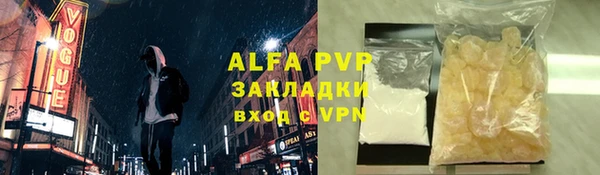 шишки Верея