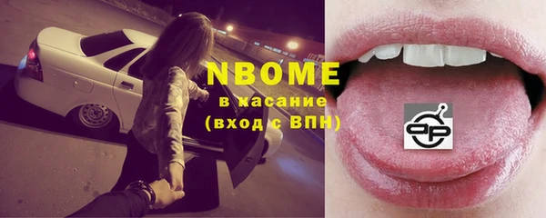 шишки Верея