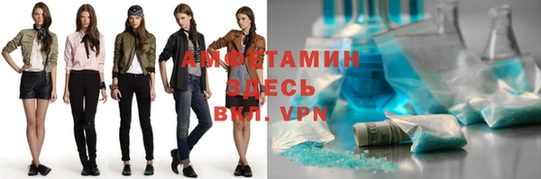 шишки Верея