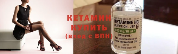 шишки Верея