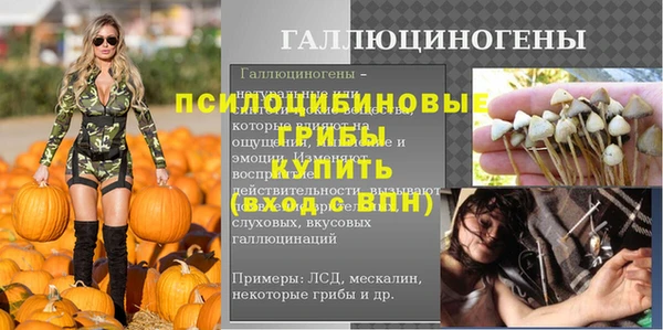 шишки Верея