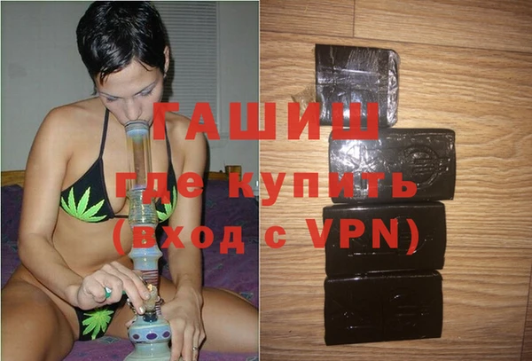 шишки Верея