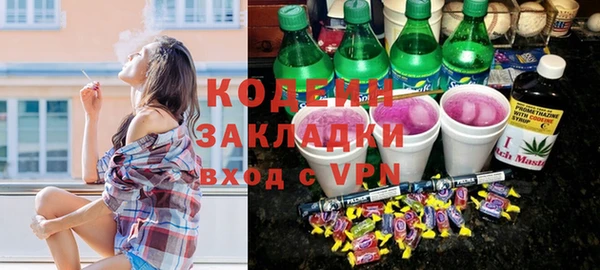 шишки Верея