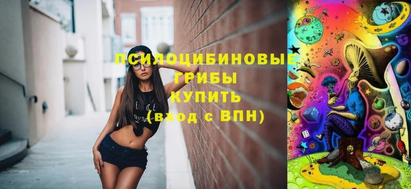 шишки Верея