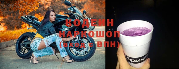 шишки Верея