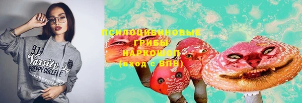 шишки Верея