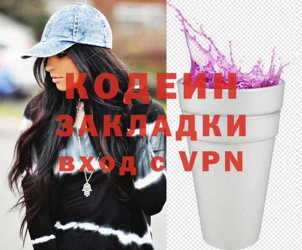 шишки Верея