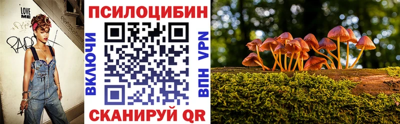 Галлюциногенные грибы Cubensis наркота Горячеводский